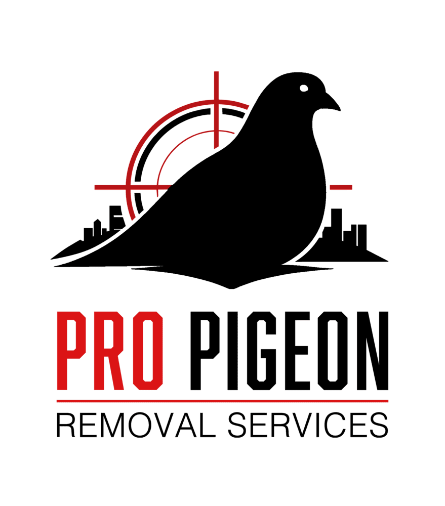 Website Preloader
